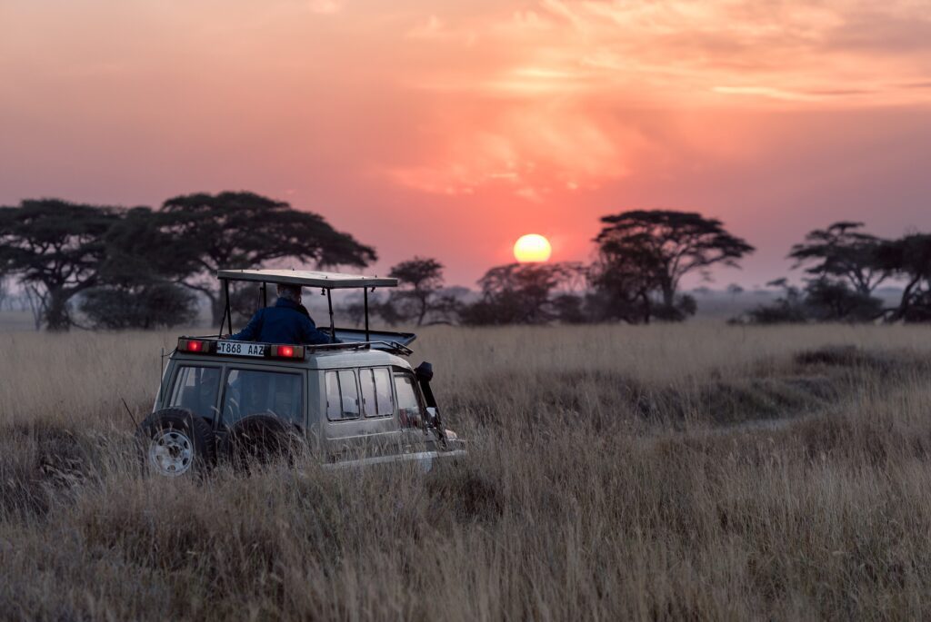 Man standing on top of a car during a safari trip with the sun setting in the background. Learn about what cheap safari holidays could entail.